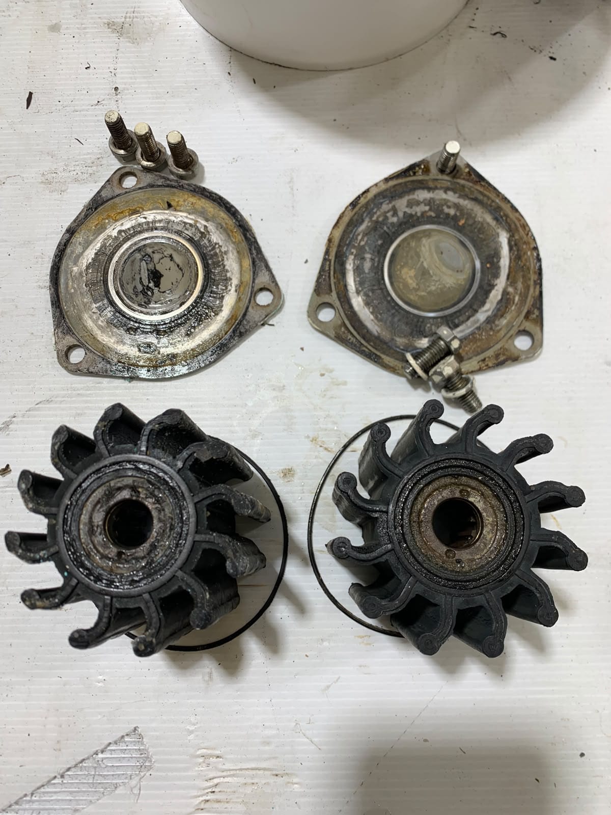 Old impellers and pump covers side by side: the port one was long overdue